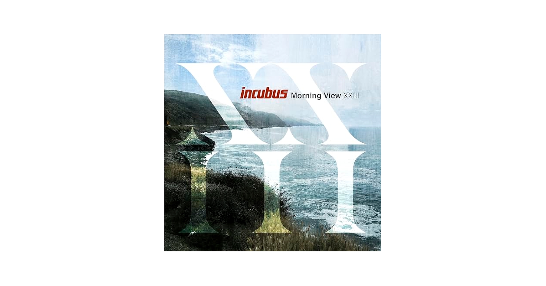 洋楽 Entheogenic flight of the urubus 洋楽 Entheogenic flight of the urubus 洋楽 Entheogenic